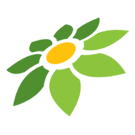 DRAW GIVEAWAY TWITTER